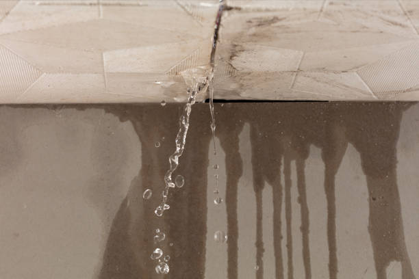 Professional Structural Drying technician working in Belmont, MI
